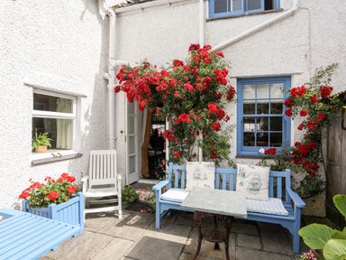 An outdoor patio with blue wooden bench and table red flowering plants and a white chair at Bryn Tegid in Beaumaris