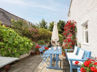 A garden patio with blue table and chairs surrounded by plants and flowers at Bryn Tegid in Beaumaris