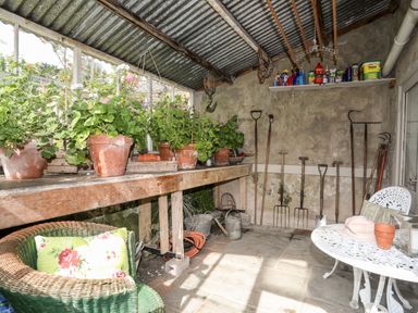A garden shed with potted plants on a wooden bench and gardening tools hanging on the wall at Bryn Tegid in Beaumaris