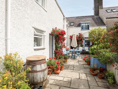 A courtyard with potted plants a wooden barrel outdoor seating and white buildings with blue window frames at Bryn Tegid in Beaumaris