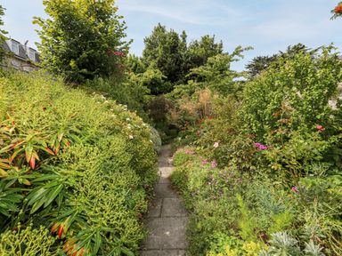A narrow stone path surrounded by dense green plants and flowers in a garden