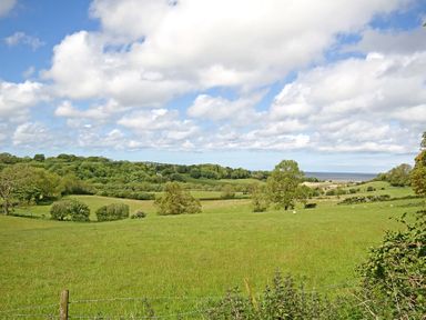 A green field with trees under a cloudy sky overlooking the sea at Buck Cottage in Red Wharf Bay