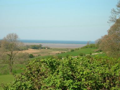 A view of green fields and trees with the sea in the background at Buck Cottage in Red Wharf Bay