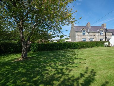 A grassy garden with a tree and bench near a stone house at Cae Person in Llangoed