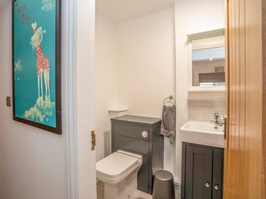 A small bathroom with toilet sink mirror and towel ring with giraffe painting on the adjacent wall at Cambrian House in Criccieth