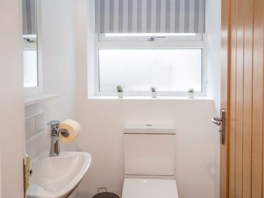 A small bathroom with a toilet and a sink under a window with three small plants at Cambrian House in Criccieth