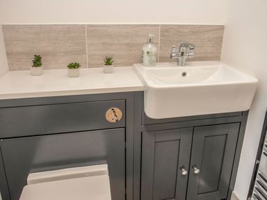 A bathroom sink with a faucet and soap bottle on a countertop with potted plants and grey cabinetry at Cambrian House in Criccieth
