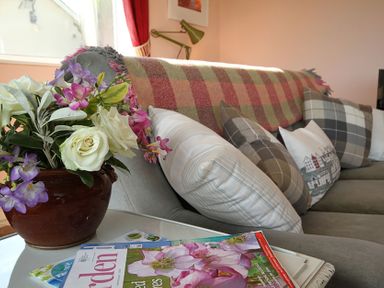 A sofa with cushions and a checkered throw next to a table with a flower pot and magazines at Camlan in Beaumaris