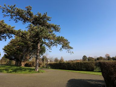 A paved path with trees and hedges under a clear sky at Tan Twr - Chellow Cottage in Dwyran