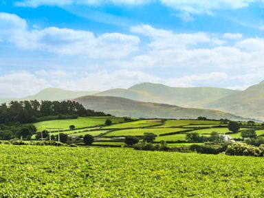 A green field with trees and hills under a blue sky at Coed Bolyn Lodge in Bethel