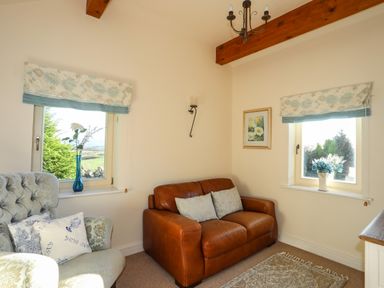 A sitting room with a leather sofa armchair cushions and flowers on windows at Cosy Barn in Llangaffo