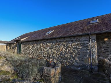 Exterior view of a stone barn with a tiled roof and skylights at Cosy Barn in Llangaffo
