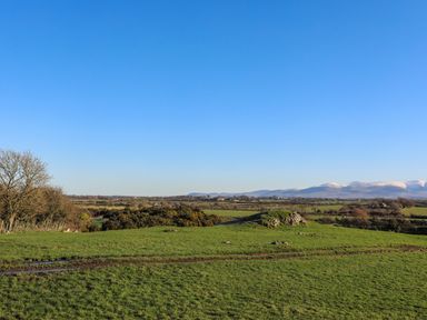 A green field with bushes and trees with mountains in the background at Cosy Barn in Llangaffo