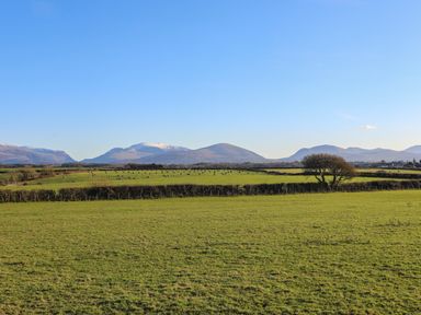 A green field with hedges and a tree with mountains in the distance under a clear blue sky at Cosy Barn in Llangaffo