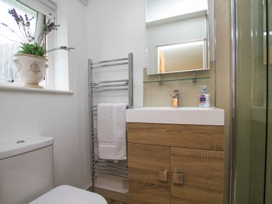 A bathroom with a toilet a wooden vanity with a sink a mirror a towel rack with a towel and a potted plant on the window sill at Cuckooland in Borth-Y-Gest