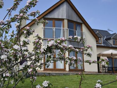 A house with large windows and a balcony behind a flowering tree and a garden at Dol Fraint in Star