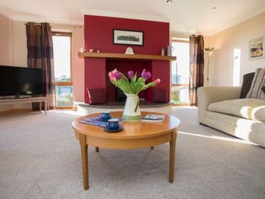 A living room with a wooden coffee table holding a vase of tulips and two blue cups in front of a red fireplace at Dol Fraint in Star
