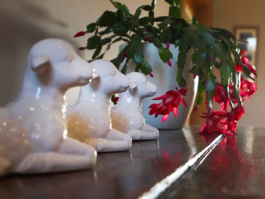 Three white ceramic lamb figurines on a wooden surface next to a potted plant with green leaves and red flowers at Dol Fraint in Star