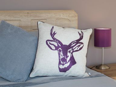 A bed with two pillows and a lamp on a bedside table at Dol Fraint in Star