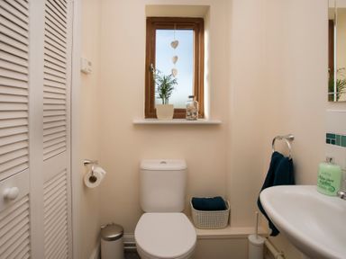 A small bathroom with a toilet a white sink and a window with a plant and jar on the sill at Dol Fraint in Star