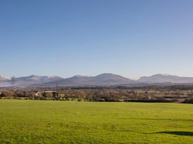 A green field with trees and mountains in the background at Dol Fraint in Star