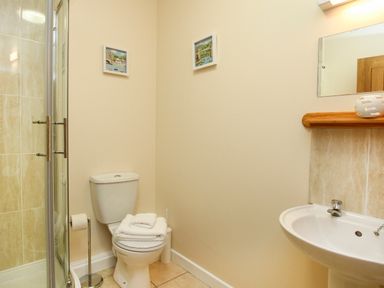A bathroom with a toilet shower and sink at Bryn Eira Tack Room in Llanfair PG