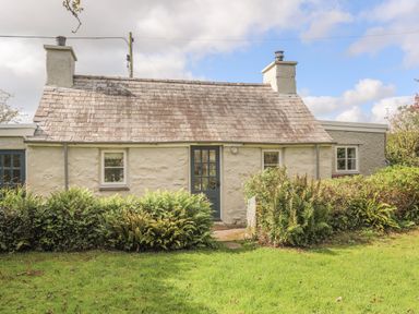 An exterior view of a small cottage with a tiled roof shrubs and grass in front at Ffrwd Cottage in Bodorgan