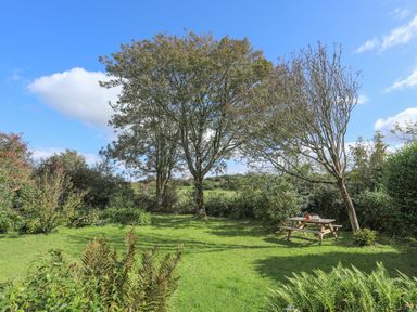 A garden with green grass trees and a wooden picnic table at Ffrwd Cottage in Bodorgan
