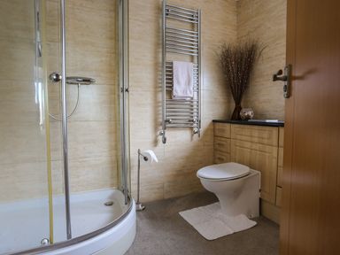A bathroom with a shower enclosure toilet towel rail and cabinets at Flip Flops in Rhosneigr