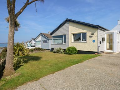 A row of small houses with front gardens and a tree by the seaside at Flip Flops in Rhosneigr