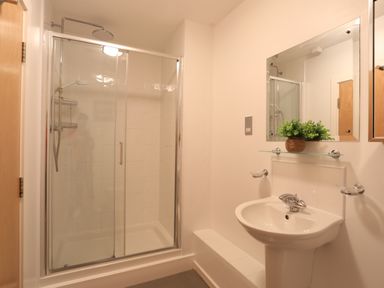 A bathroom with a shower enclosure with glass doors a sink with a mirror above and a plant on a shelf at Four The Quay in Red Wharf Bay