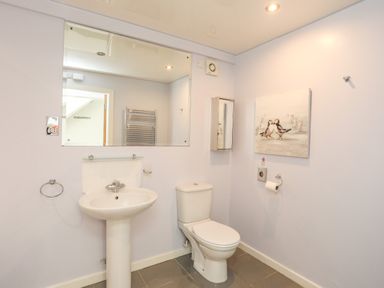 A bathroom with a pedestal sink a toilet a large mirror a towel ring and a wall cabinet at Four The Quay in Red Wharf Bay