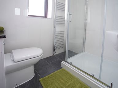 A bathroom with a toilet shower with glass door ladder towel rack and green bath mat at The Gables in Trearddur Bay