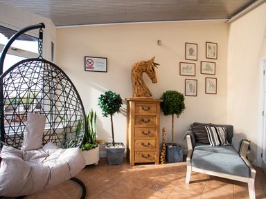 A sitting area with a hanging chair a wooden chest with a horse sculpture plants framed animal sketches and a cushioned armchair at The Gables in Trearddur Bay