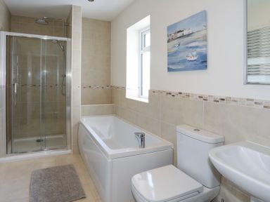 A bathroom with a shower enclosure bathtub toilet sink and a painting on the wall at Glanrhyd Uchaf in Llanfair yn Neubwll