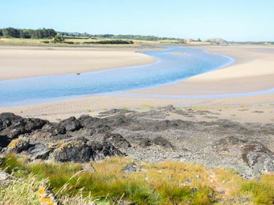 A river flowing through sand with rocks and grass in the foreground at Glanrhyd Uchaf in Llanfair yn Neubwll