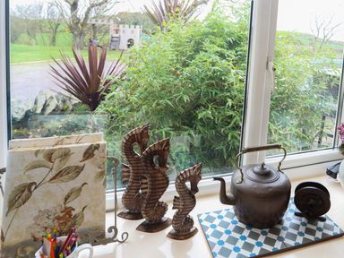 A windowsill with decorative wooden seahorses a copper kettle and floral napkins at Hen Gilfach in Llanfairyngnhornwy