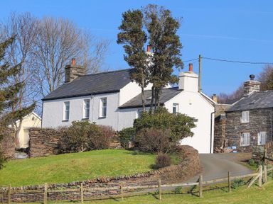A white house with chimney and trees in front surrounded by stone walls and green grass at Big House in Llandecwyn