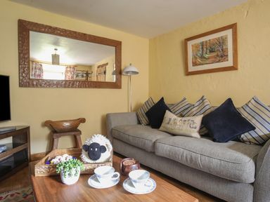 A living room with a grey sofa and striped cushions a large wooden framed mirror and a coffee table with cups and a plant at Llwyn Bedw in Nant Peris