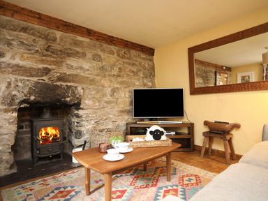 A living room with a stone fireplace a wood stove a wooden coffee table and a television at Llwyn Bedw in Nant Peris