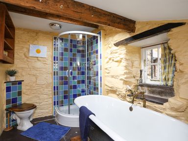 A bathroom with a freestanding bathtub shower enclosure and toilet with tiled walls at Llwyn Bedw in Nant Peris