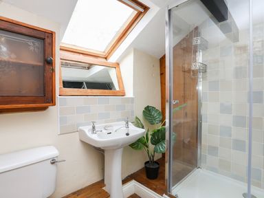 A bathroom with a shower, pedestal sink, toilet, wooden cabinet, skylight window, and potted plant at Llwyn Bedw in Nant Peris