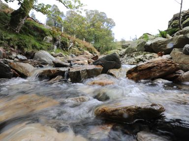 A flowing stream with rocks and trees along its banks at Llwyn Bedw in Nant Peris