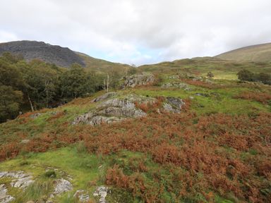 A hillside with rocks grass and shrubs with trees and mountains in the background at Llwyn Bedw in Nant Peris