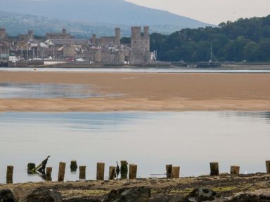 A view of a castle by the water at Menai Cottage in Brynsiencyn