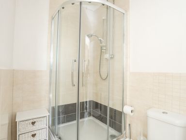 A bathroom with a shower enclosure a toilet and a small white storage unit at Mermaid Cottage in Brynsiencyn