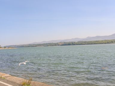 A lake with a seagull flying above the water and hills in the background at Mermaid Cottage in Brynsiencyn