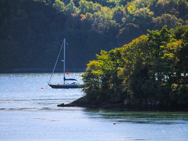 A sailboat on the water near a tree-covered shoreline at Mews Cottage in Menai Bridge