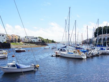 A harbor with sailboats and motorboats docked near residential buildings at Morfa Lodge in Porthmadog