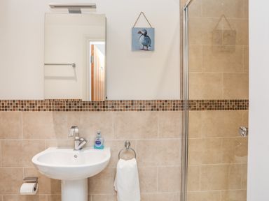A bathroom with a sink a mirror a towel ring a soap dispenser and a shower at Mynydd Parys in Brynsiencyn